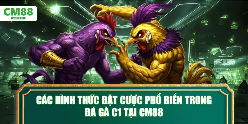 Các hình thức đặt cược phổ biến trong đá gà C1 tại CM88